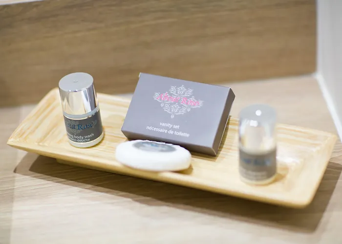 Hotel Manoir'hastings 3*